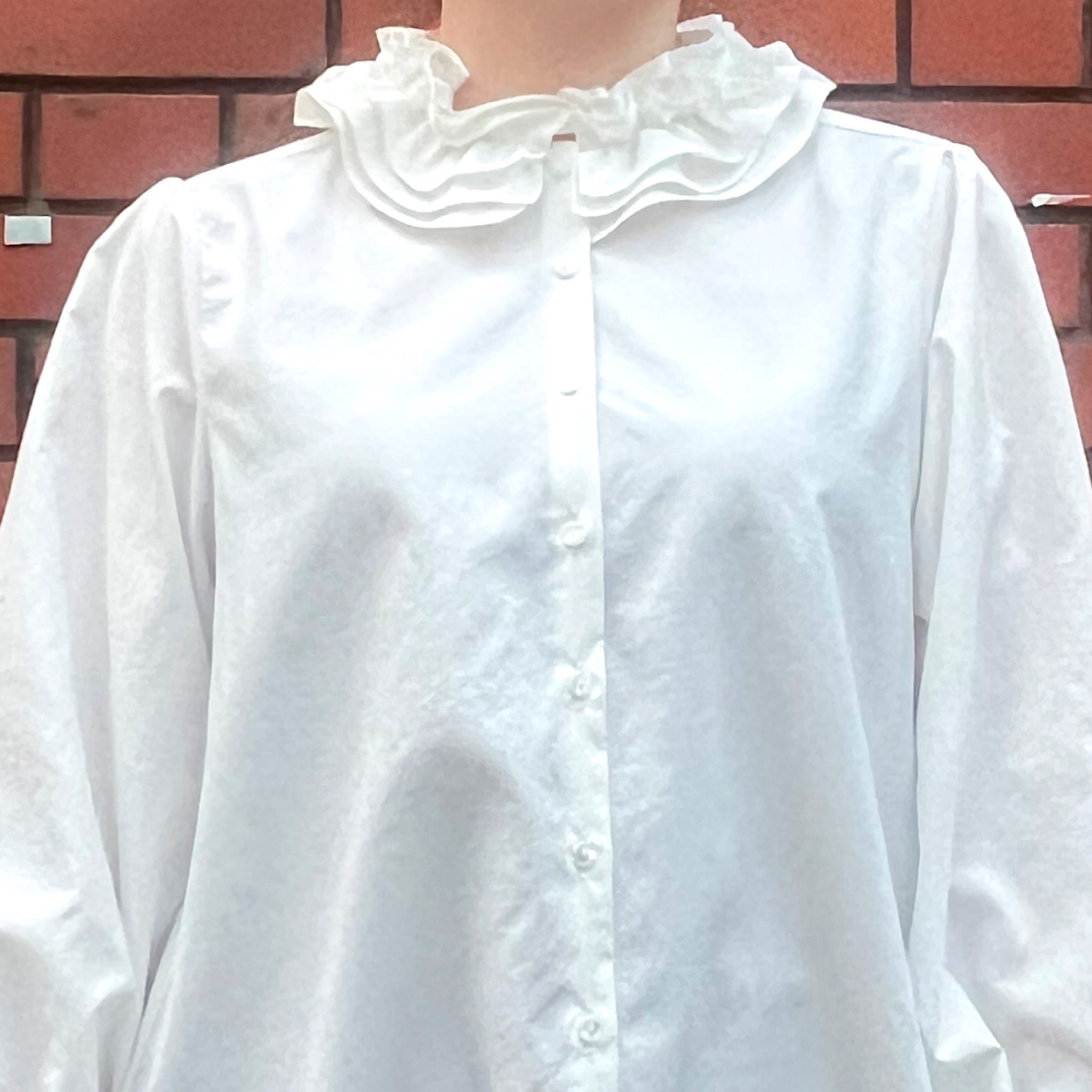 ラナンキュラスブラウス[S252BV105] – SONO LIMITED STORE