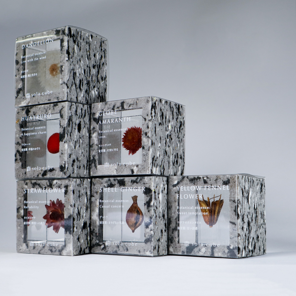 ウサギノネドコ Sola cube 3種類セット 標本ケース付き 楽天市場