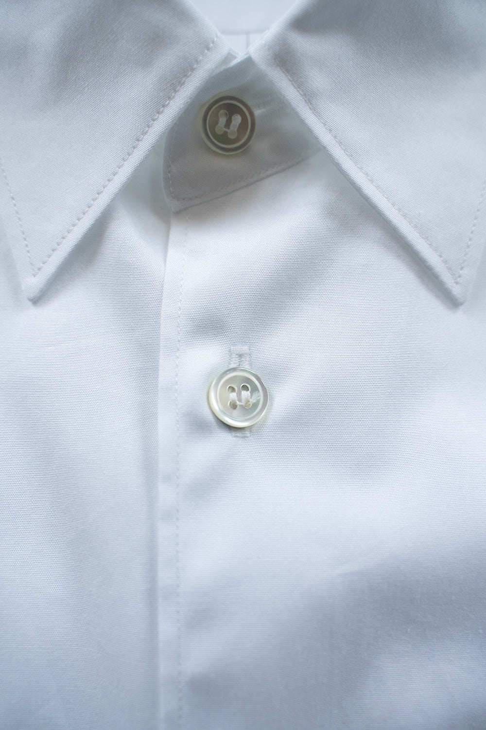 Sans limite/サンリミット】SH01B ブロードボックスレギュラーカラー