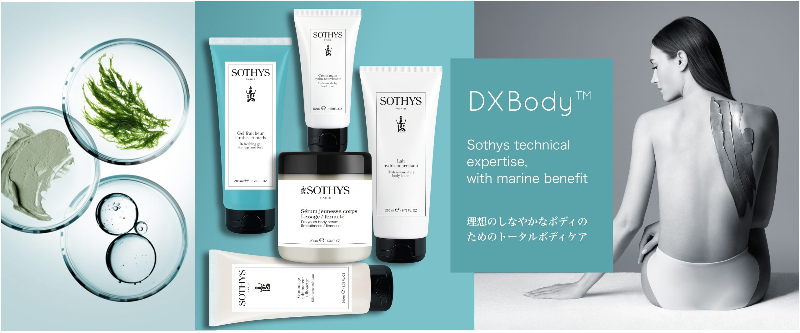 ソティスコーポレート