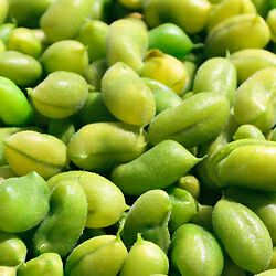 SPA スージング ベルベット クリーム | ソティス e-ブティック