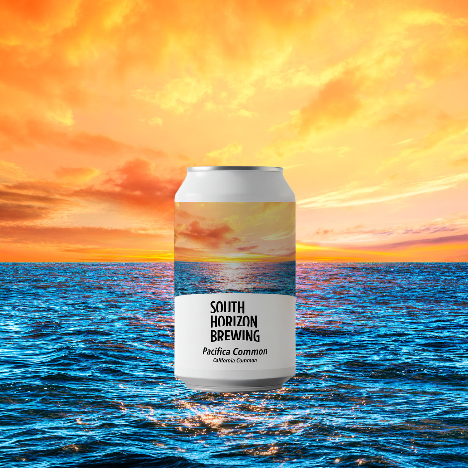 クラフトビール定番6種飲み比べパック – SOUTH HORIZON BREWING