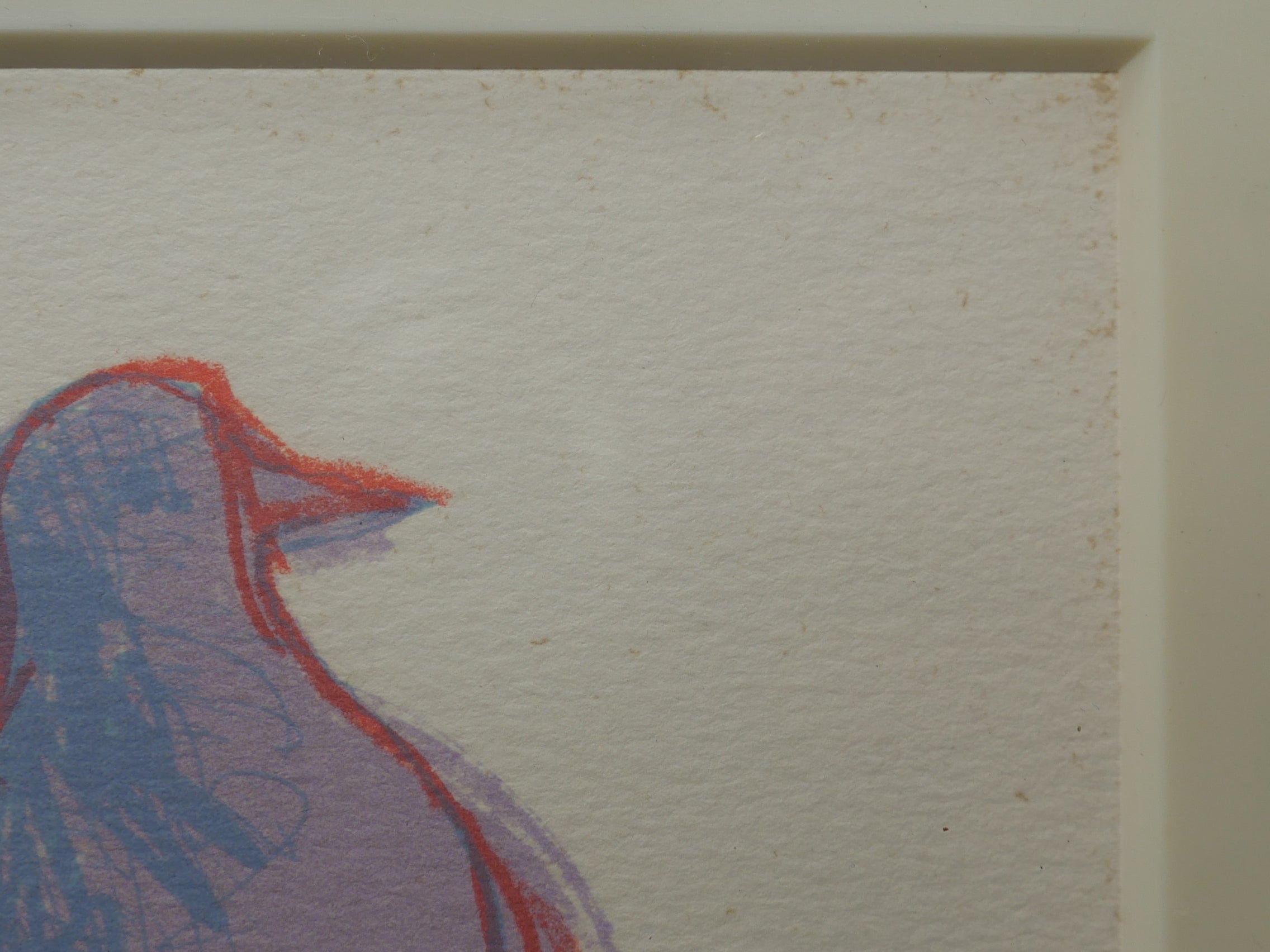 黒田征太郎【鳩】リトグラフ 額装 1982年 ED 336/500 – smileantiques