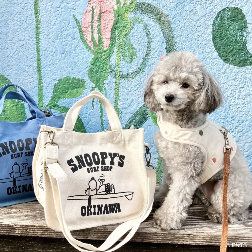 オキナワ限定⭐︎ストラップミニトート誕生 | Snoopy's Surf Shop
