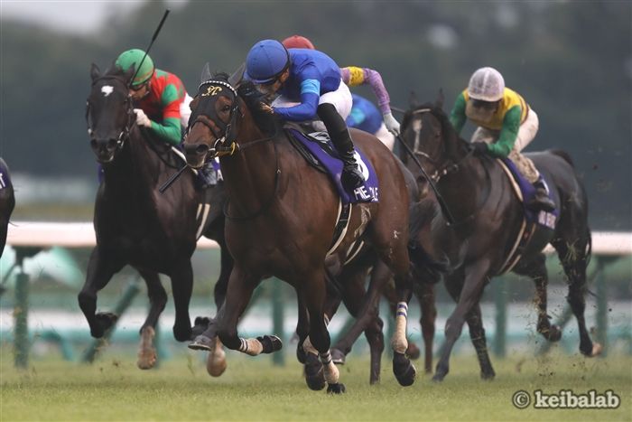 ファインニードル - Fine Needle - 競走馬データベース | 競馬ラボ