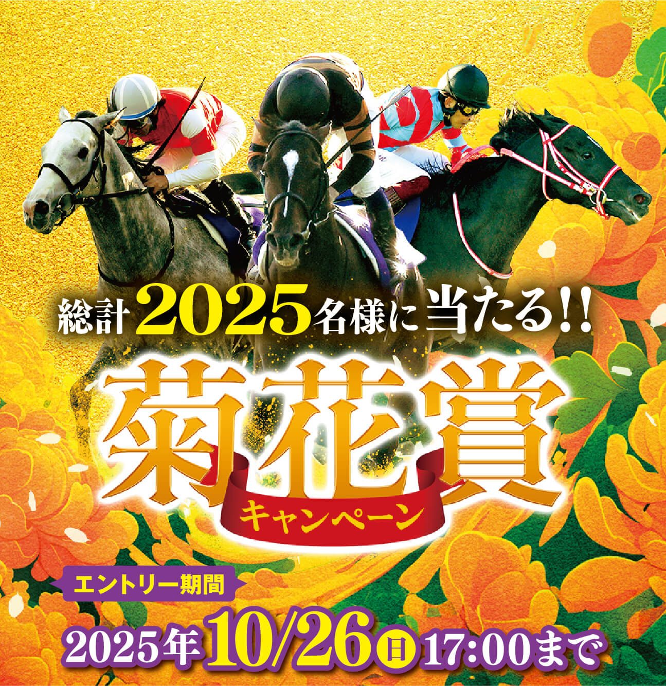 菊花賞キャンペーン| JRA