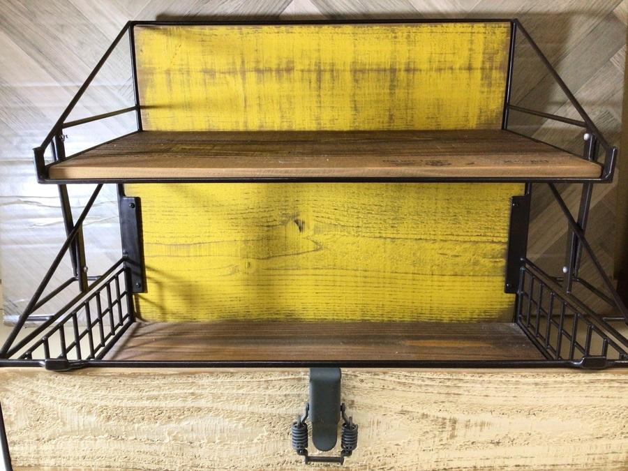 限定カラー！ネイチャートーンズのくるりんぱ・ストレージBOX M