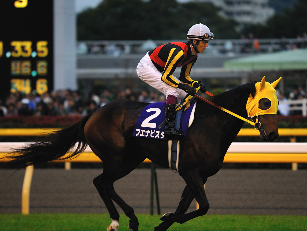 ブエナビスタ☆天皇賞（秋）V！: スペ＆スペコ追っかけ？日記