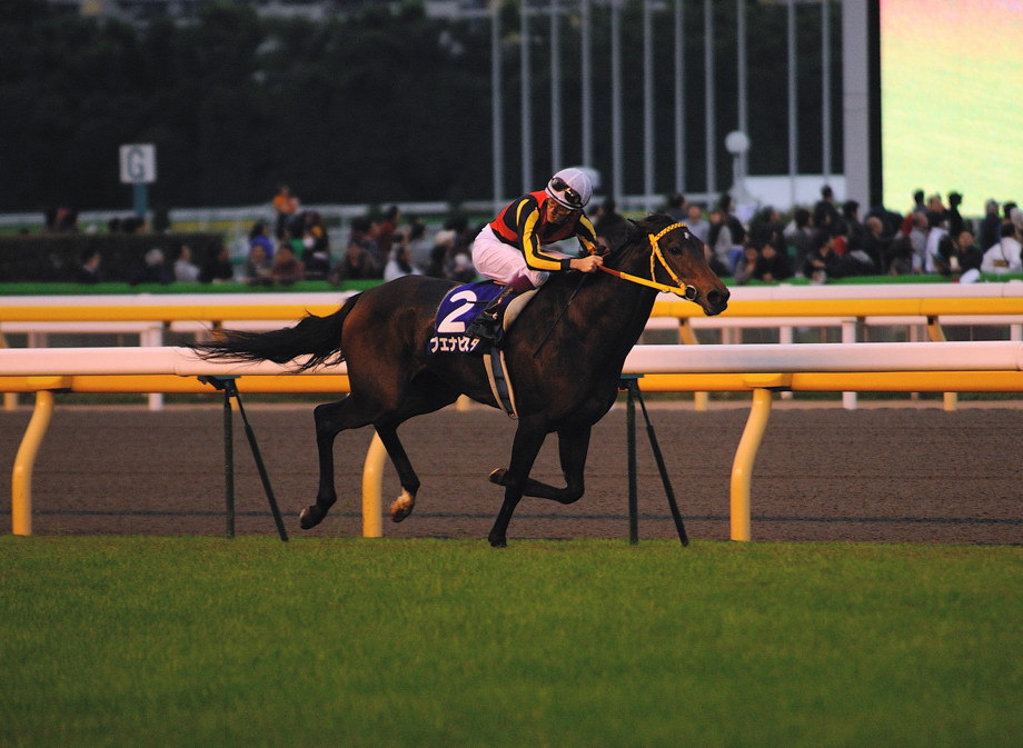 ブエナビスタ☆天皇賞（秋）V！: スペ＆スペコ追っかけ？日記