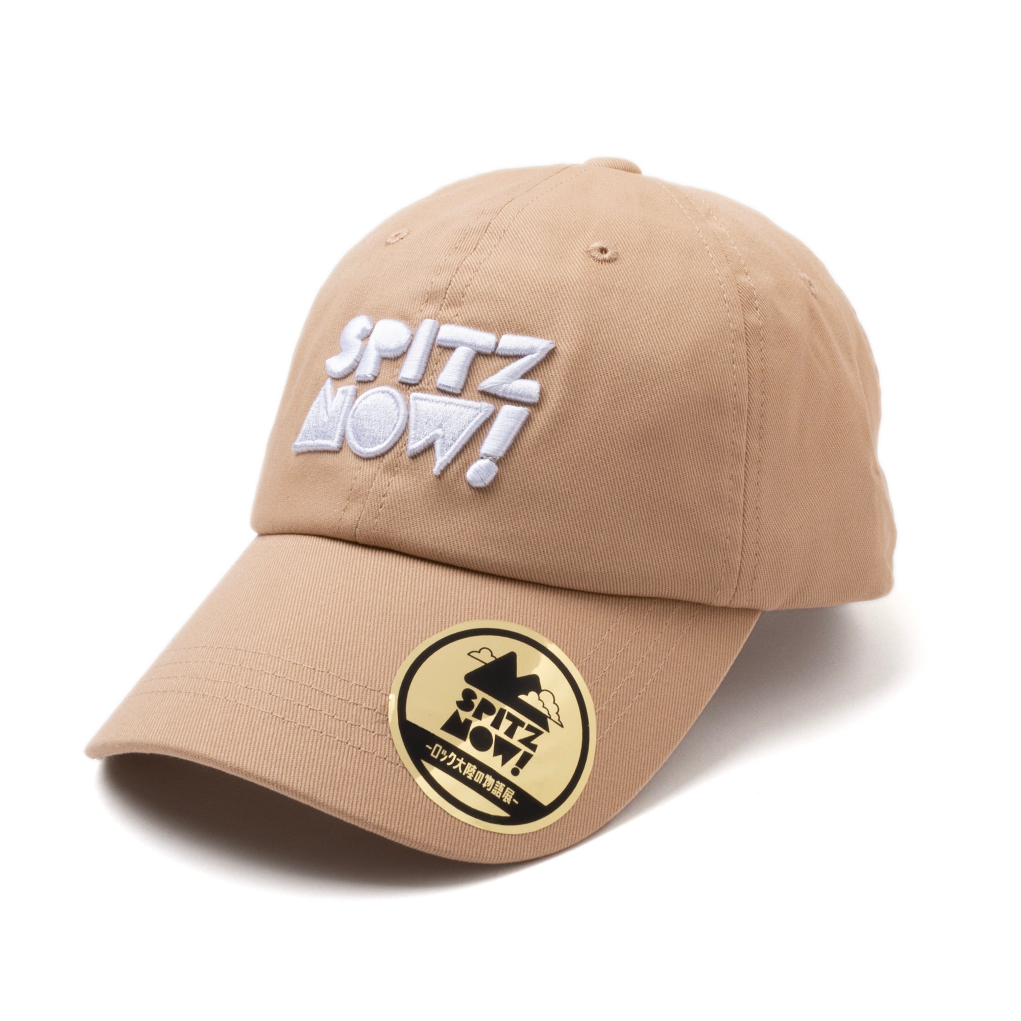 美品】Volff CHARM DESTROY LOGO CAP ギャップ ロゴ 美品】Volff CHARM