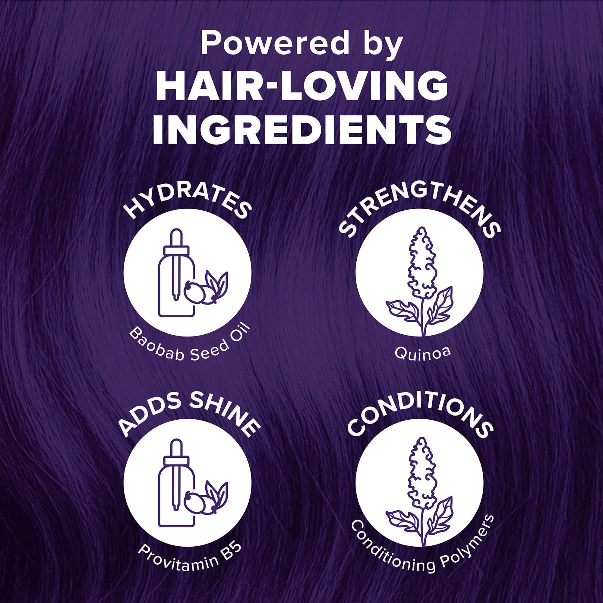 Midnight Tanzanite: No Bleach Dark Purple Semi-Permanent Hair Dye