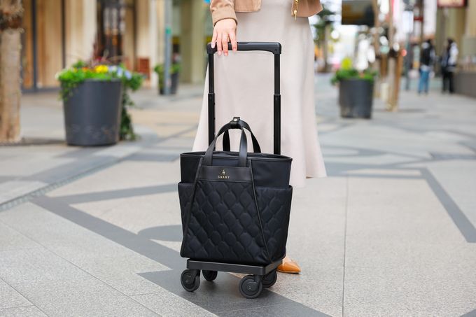 SWANY スワニー　キャリーバッグ D-589 プーフォ M21 58911haimen.jpg