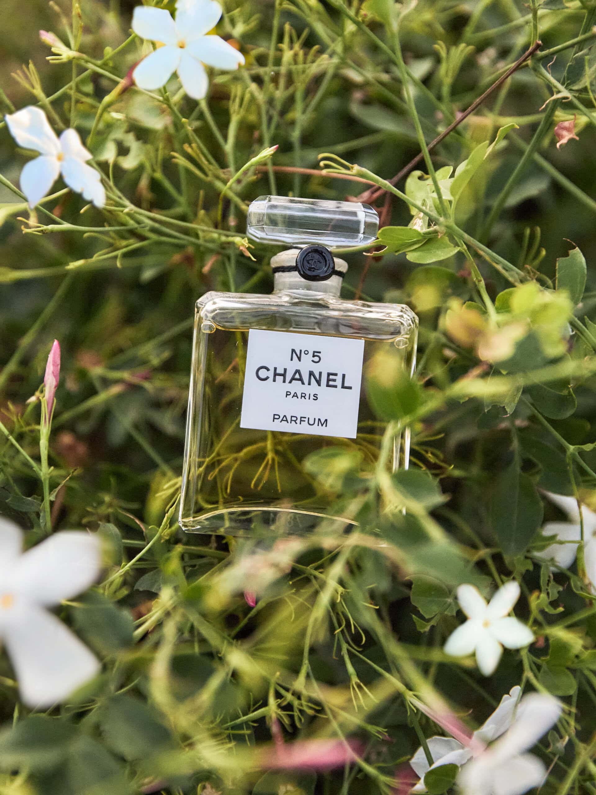 花からボトルまで”シャネル N°5フレグランスづくりの舞台裏へ。出口