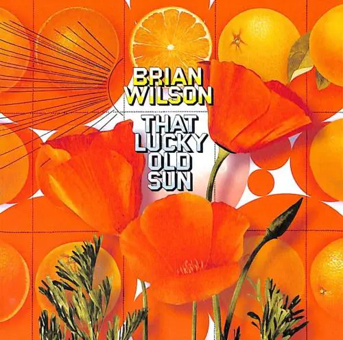 BRIAN WILSON / ブライアン・ウィルソン商品一覧｜ディスクユニオン
