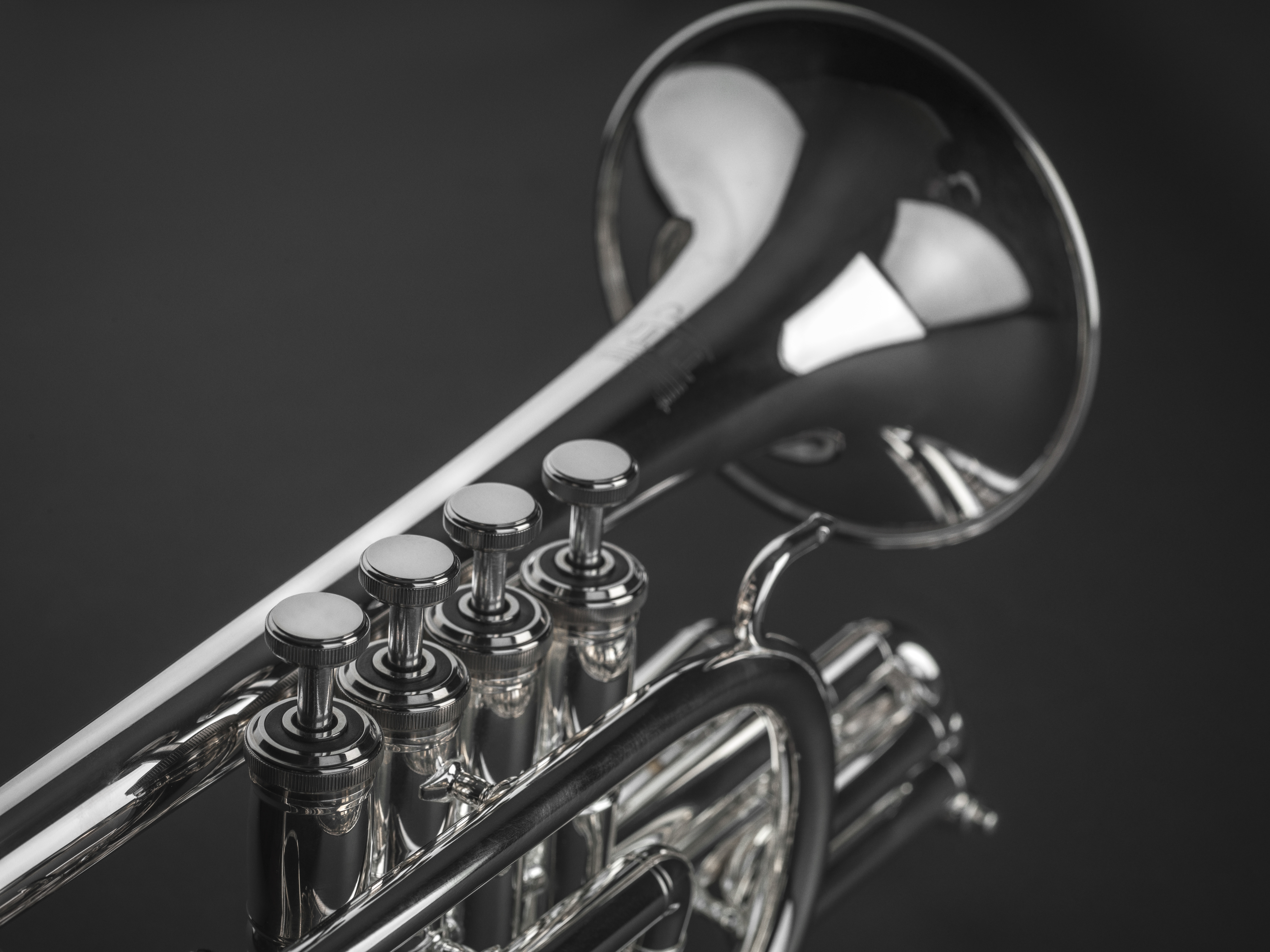 Titan 4 Valve Edition - Stomvi USA