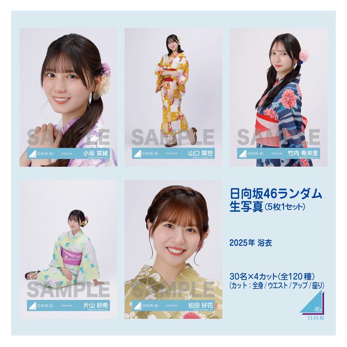 商品詳細ページ | 日向坂46 OFFICIAL GOODS STORE | 【通常配送】日