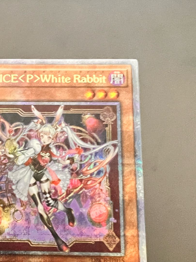 M∀LICE <P>White-Rabbit 25th Secret 1枚 (Used) （1488771223