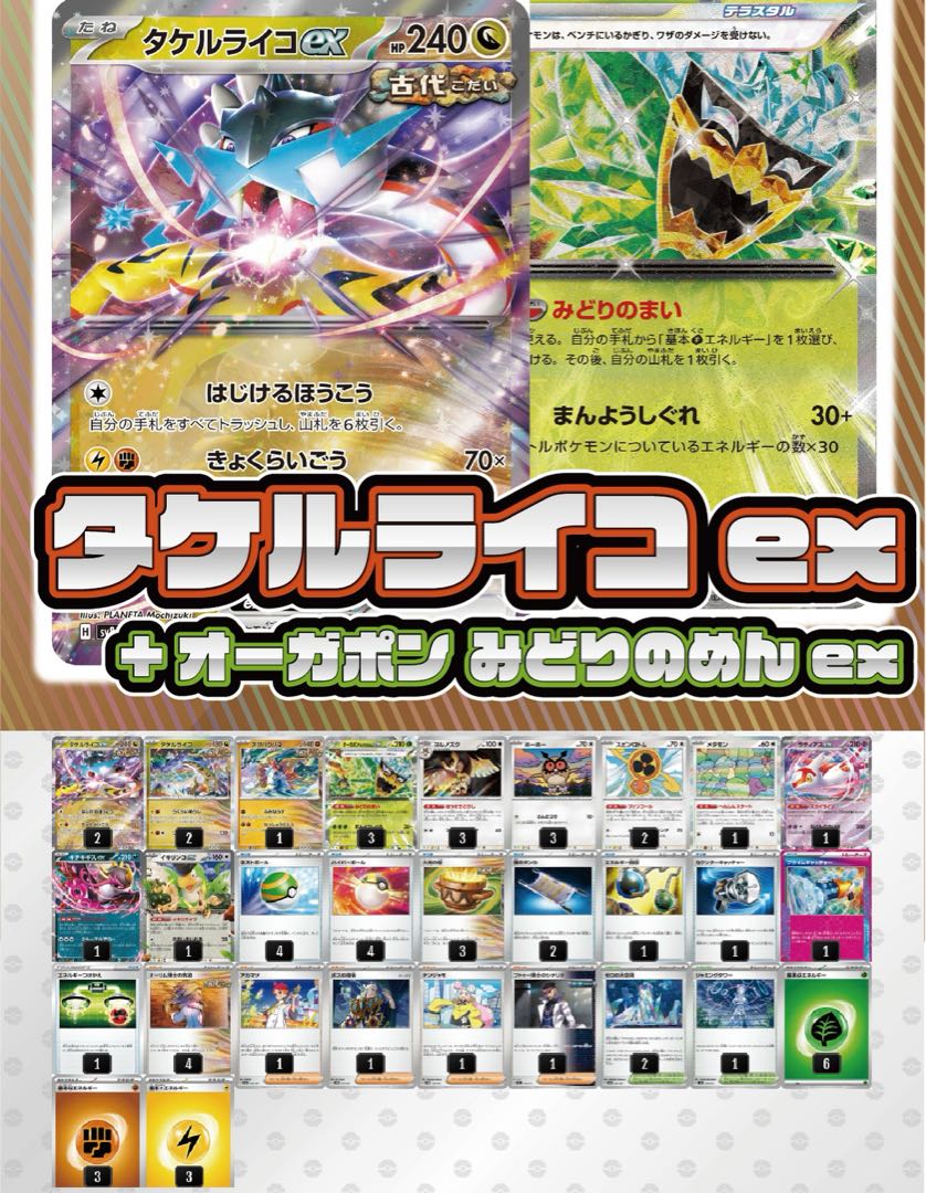 ポケモンカード タケルライコex ポケカ 構築済みデッキ スリーブ付き 1