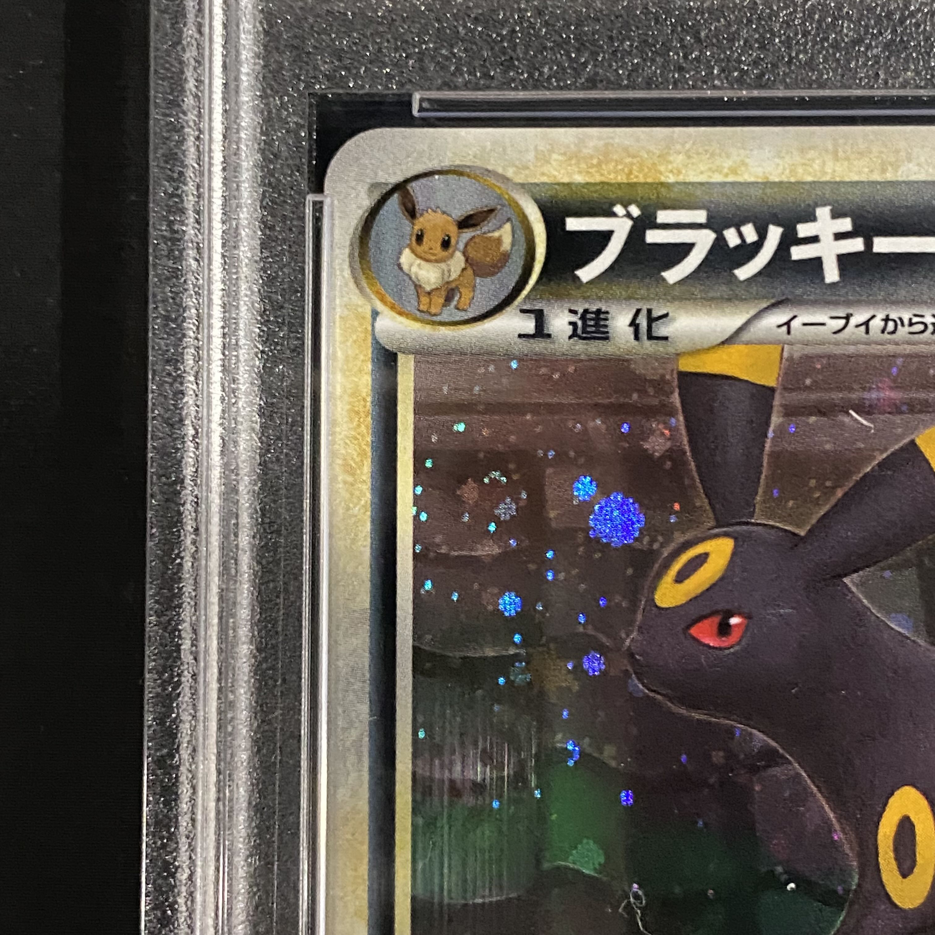 ポケモンカード ブラッキー エーフィ PSA10 連番 かたきうち