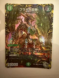 ブラキオ龍樹」の激安通販 | magi