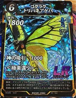 蟲神器のカード販売・通販 | magi