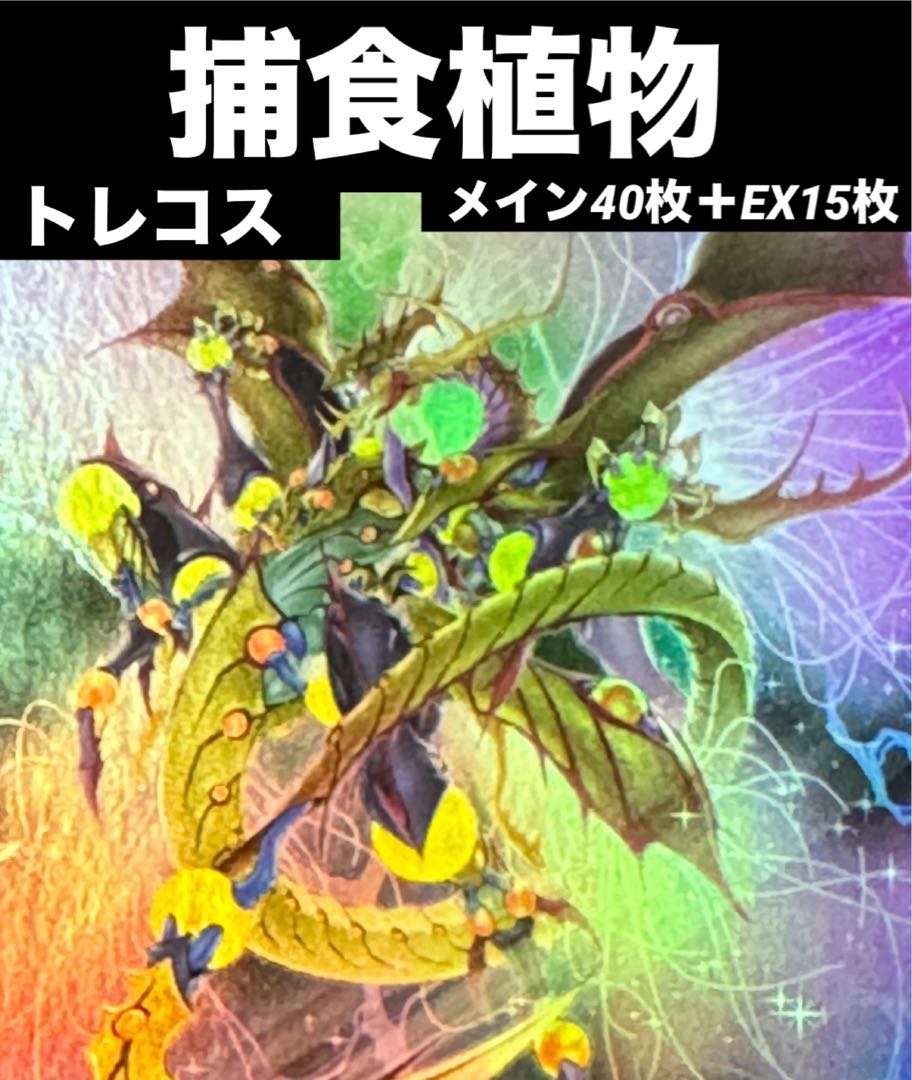 遊戯王 捕食植物 デッキ プレデタープランツ メイン40枚＋EX15枚 30枚