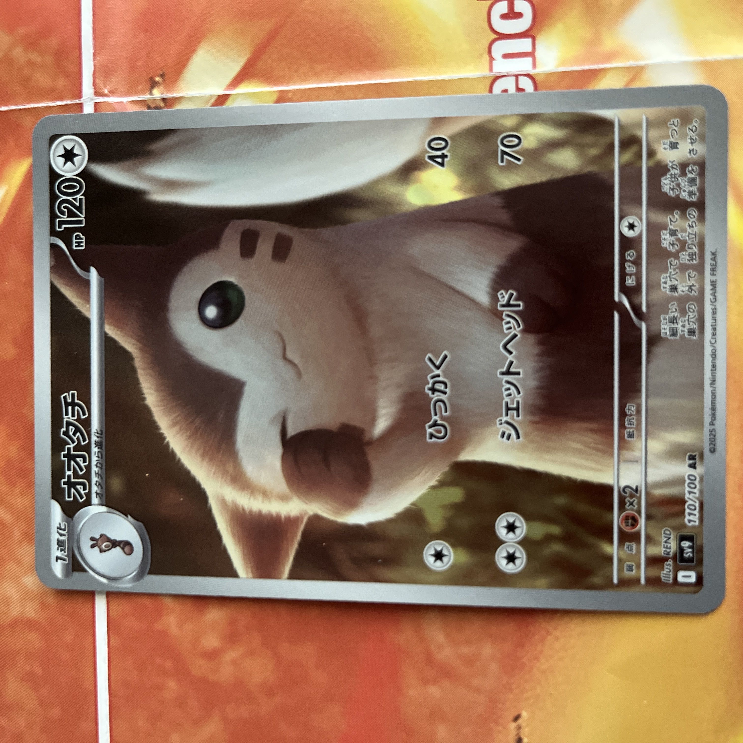 オオタチ AR 110/100 1枚の通販 Leufield（1906423094） | magi