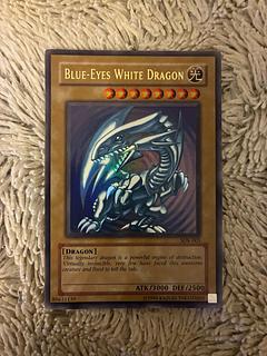 sdk-001」の激安通販 | magi