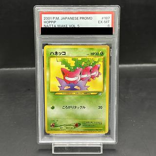 ポケモンカードになったわけ」の激安通販 | magi