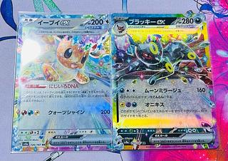 ブラッキーex RR 093/187 1枚の通販 @のぐコレ （1861422573） | magi