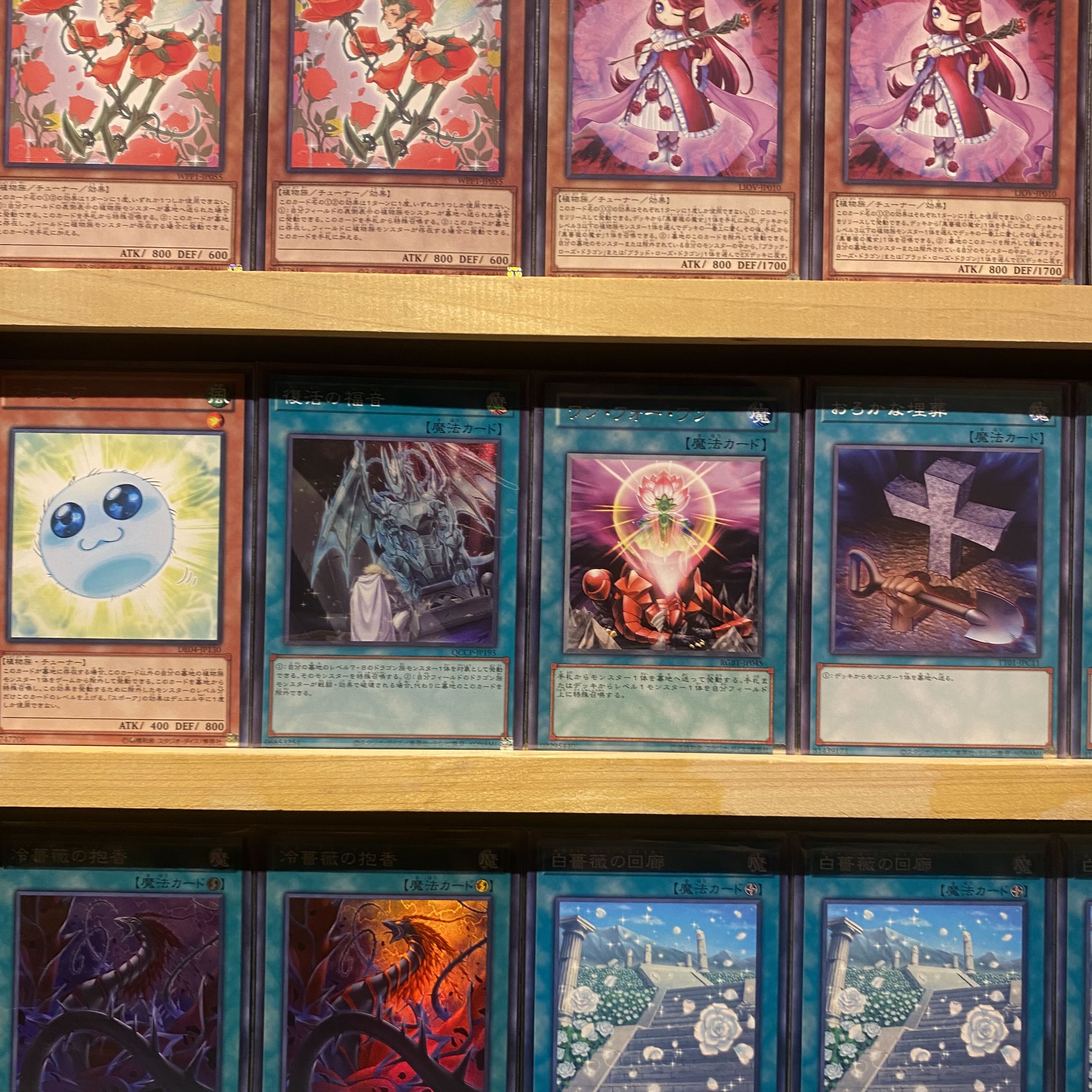 即日発送！【ローズドラゴン】デッキ 遊戯王 レッドローズ・ドラゴン