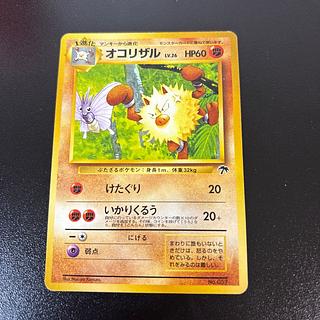 サザンアイランド」の激安通販 | magi