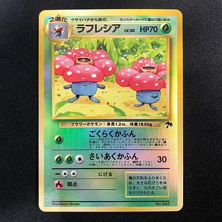 サザンアイランド」の激安通販 | magi