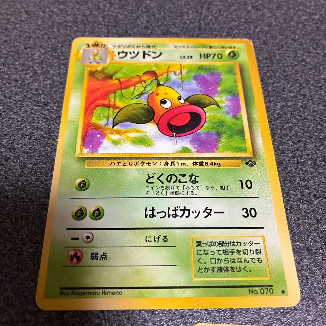 マダツボミ旧裏2枚 ウツドン旧裏 No.39 2枚の通販 1505394949