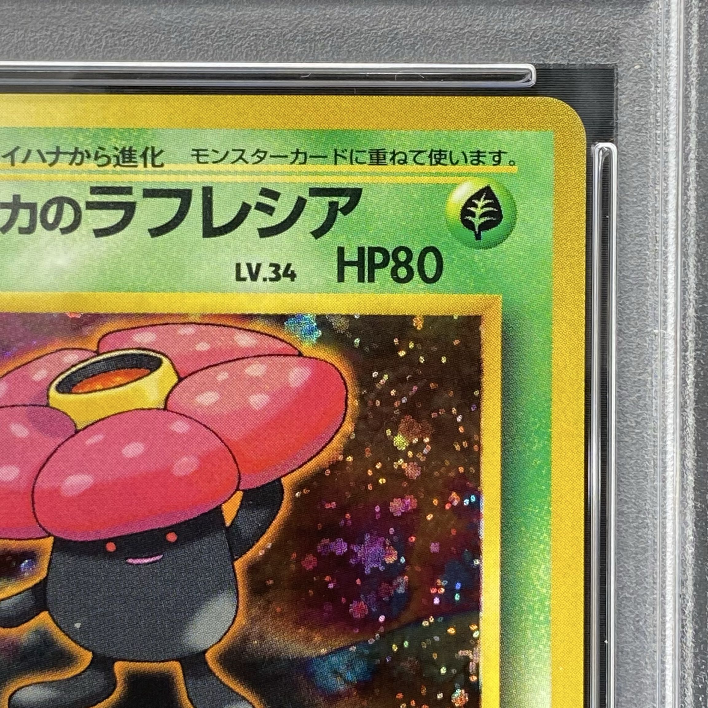 PSA10】エリカのラフレシア キラ 旧裏 ☆ 1枚の通販 土日祝休@magi公式