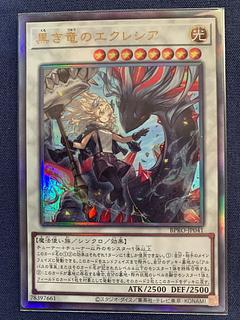 黒き竜のエクレシア」の激安通販 | magi