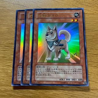 柴戦士タロ ウルトラレア」の激安通販 | magi