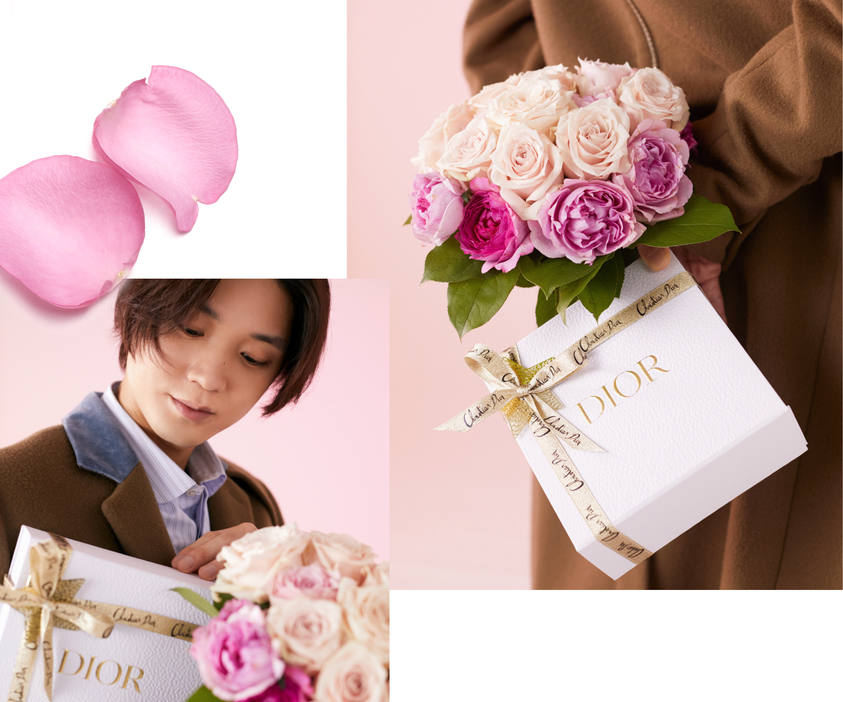 磯村勇斗とグラース ローズが奏でる ミス ディオール ローズ＆ローズの