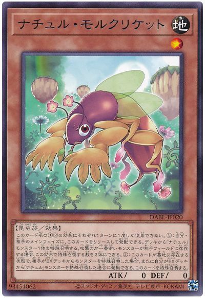 2022年 ナチュルデッキ 入門書】一躍現代テーマに | 遊戯王 - テーマ