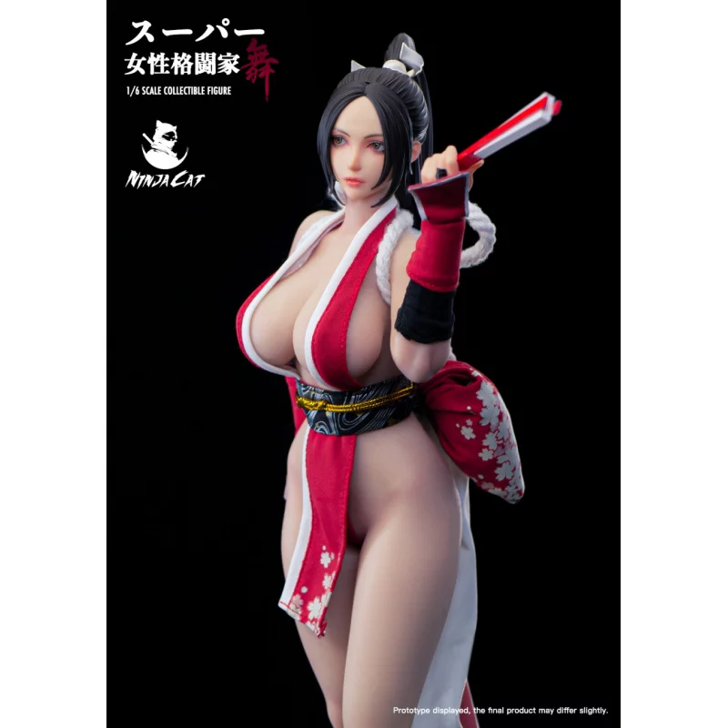 Fighter Mai Collectible Action Figure 1/6 Ninja Cat N001