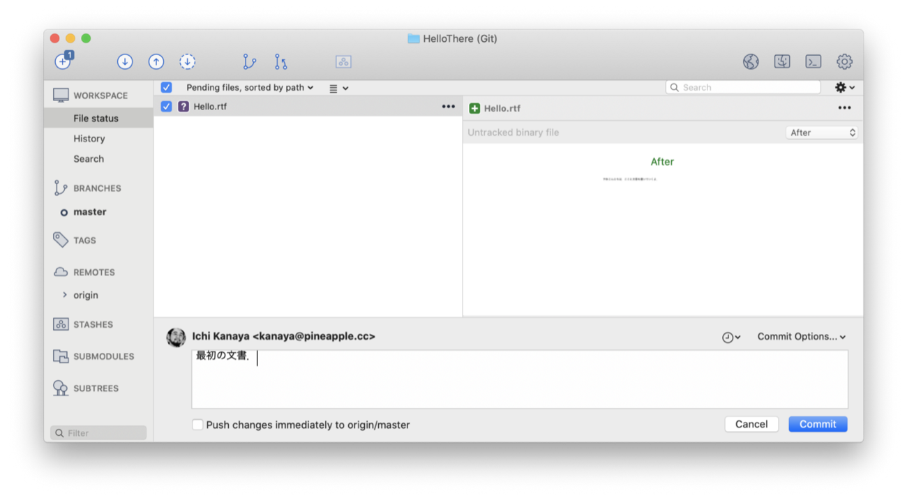 もうこれ以下は無理というぐらい最低限なバージョン管理