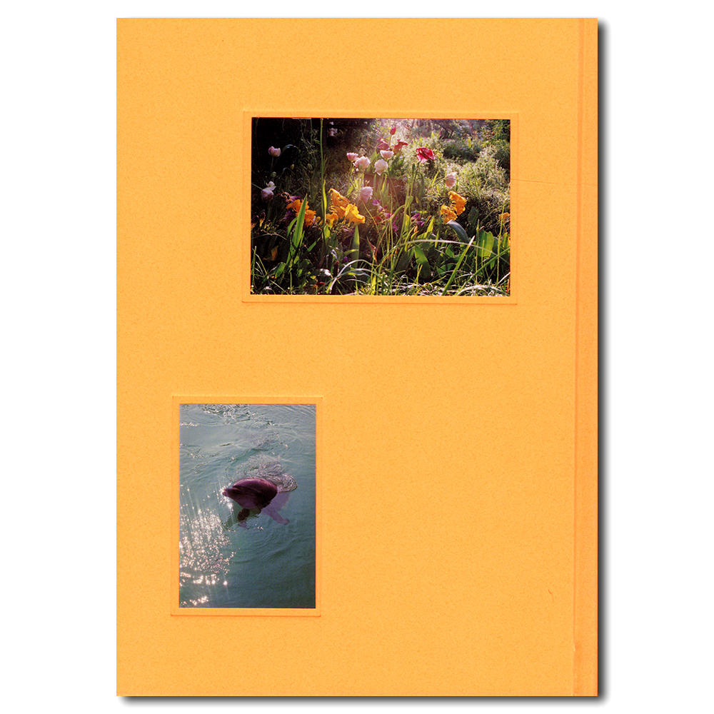 特装版／サイン入り／銀座 蔦屋書店限定】おはようもしもしあいしてる