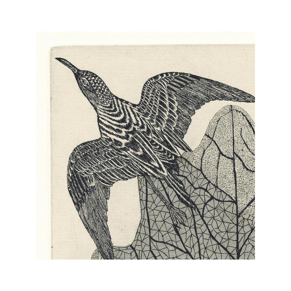 サイン入り】永井一正 銅版画作品 「LIFE 19」 永井一正 -の商品詳細