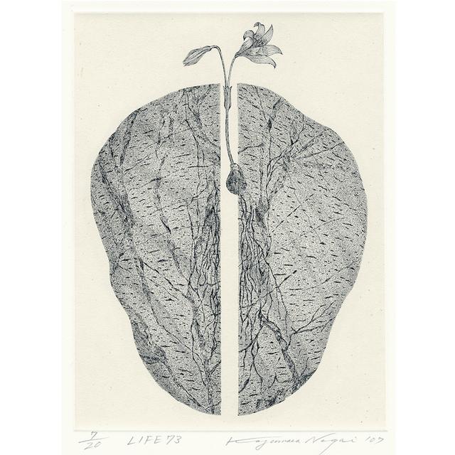 サイン入り】永井一正 銅版画作品 「LIFE 73」 永井一正 -の商品詳細