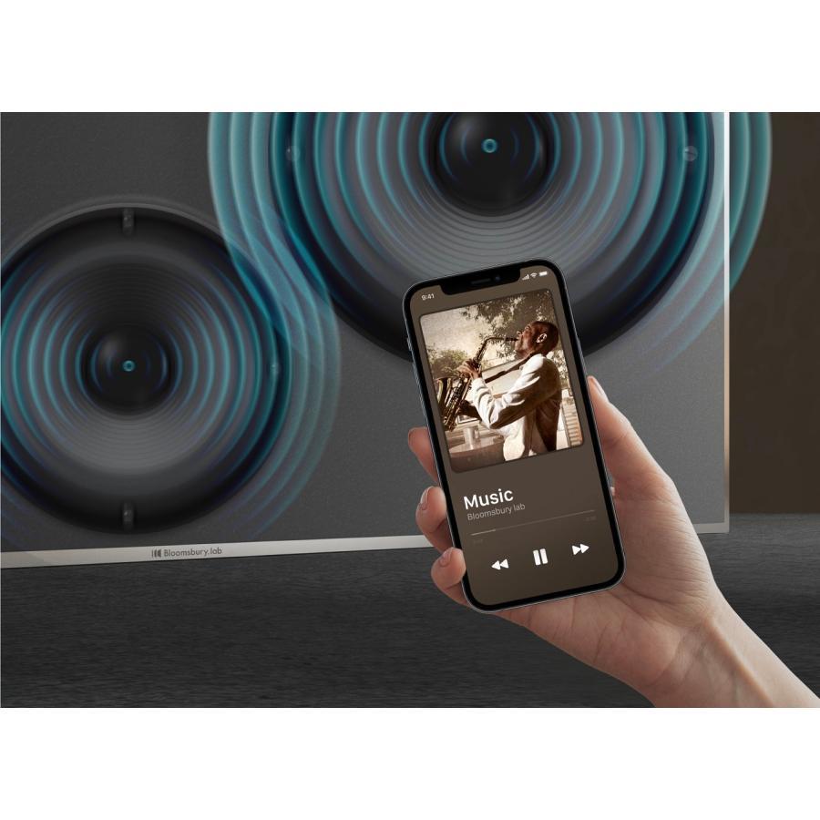 スピーカー内蔵のプロジェクター専用スクリーン Bloomsbury Lab