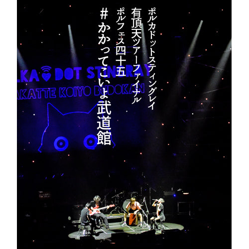 ポルカドットスティングレイ / ポルカドットスティングレイ 有頂天