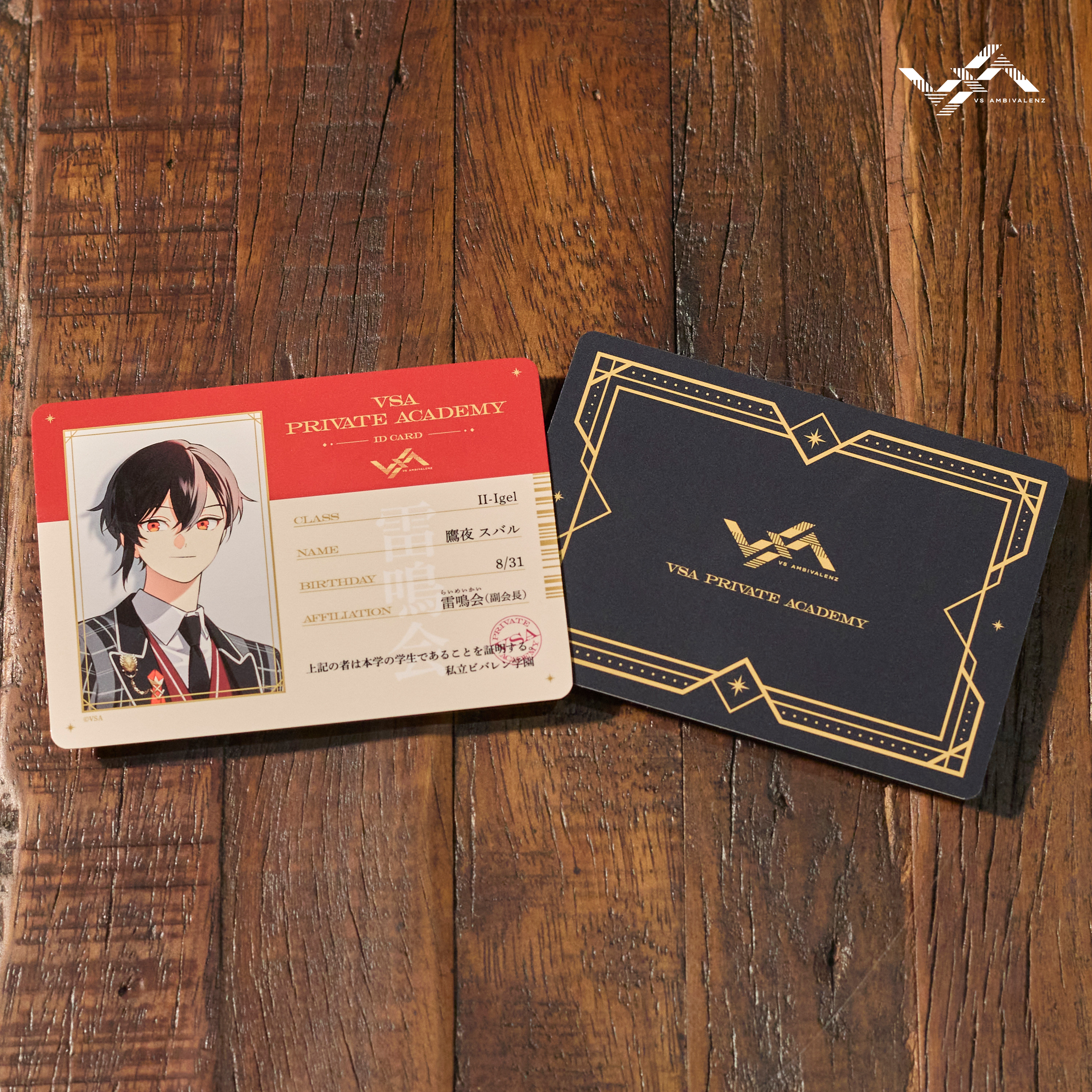 XlamV ビッグビジュアルタオル ISSEI | VS AMBIVALENZ オフィシャルストア