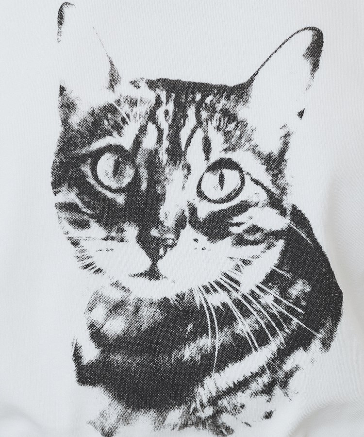 ねこプリントTシャツ【洗濯機洗い可】（Tシャツ） | index