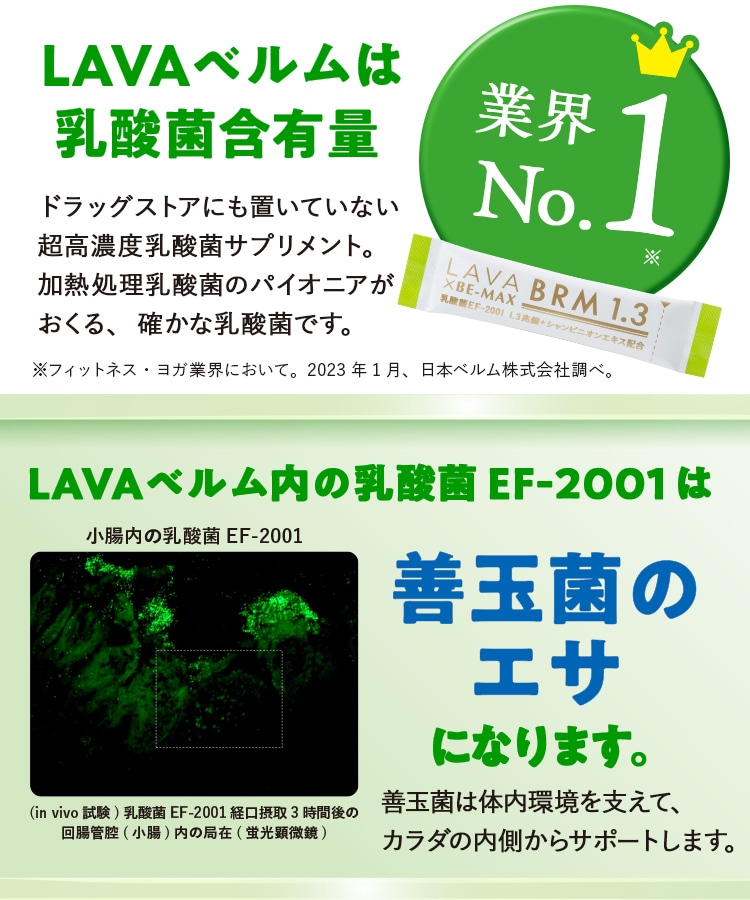 定期購入キャンペーン】LAVA BRM1.3［1箱コース：20％OFF］(50包／箱