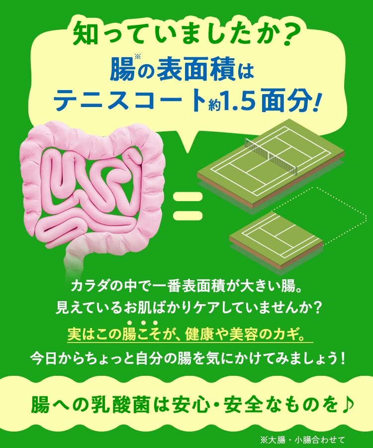 定期購入キャンペーン】LAVA BRM1.3［3箱コース：40％OFF］(50包／箱